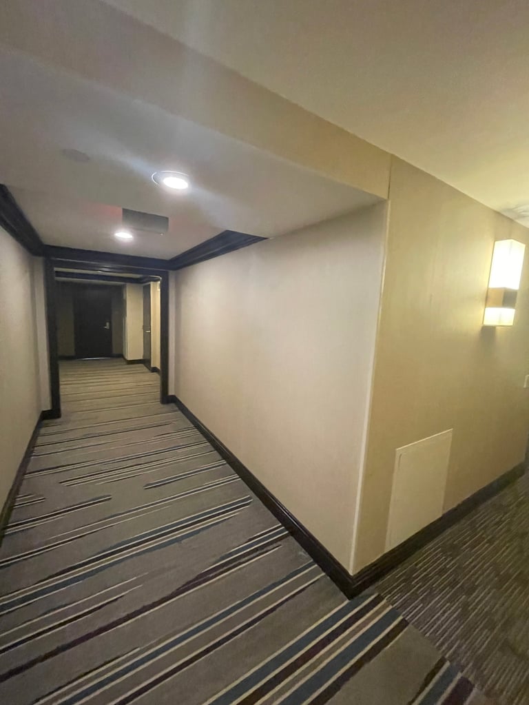 Modern hallway with striped carpet, white walls, dark ceiling trim, recessed lighting, and glass doors at the end
